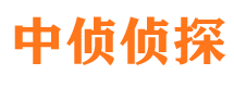 宜昌捉小三公司